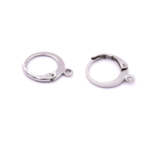 Leverback earrings Stainless steel - 14.5x12mm (4)