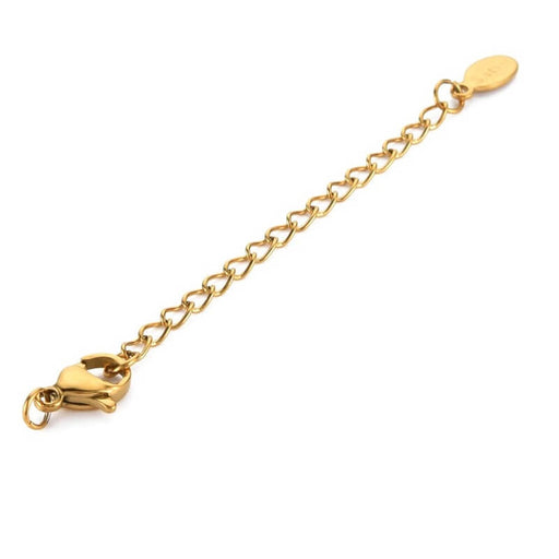 Buy Extension Chain and Lobster Clasp - 5cm Stainless Steel Gold (1)