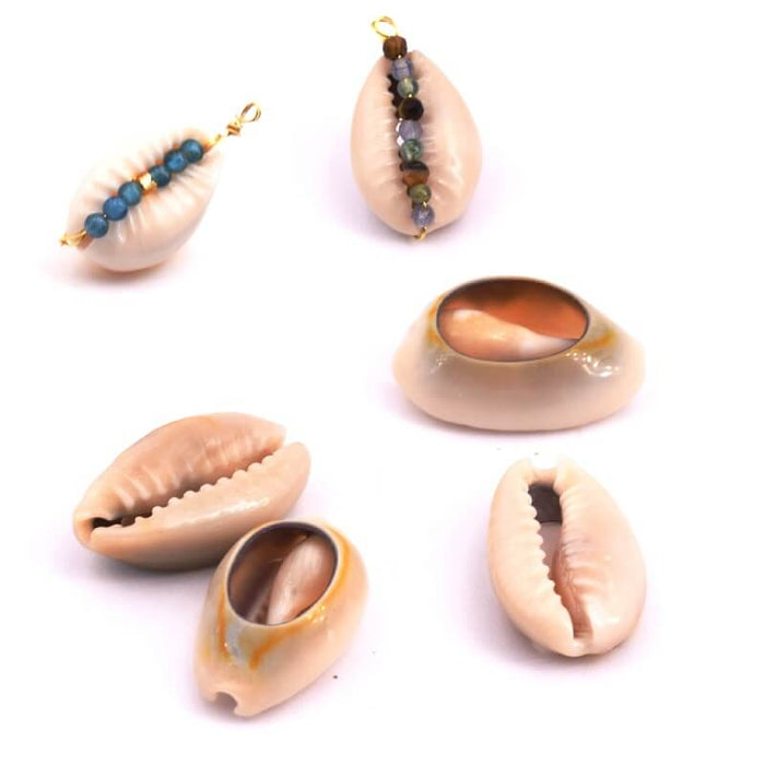 Cowrie Shell Pendant Connectors open back 17-20mm (10)