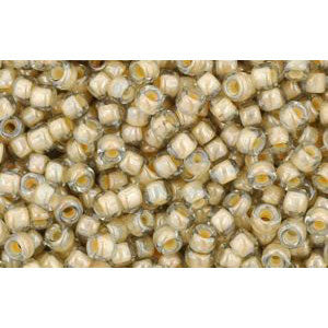 cc369 - Toho beads 11/0 black diamond/orange cream lined (10g)