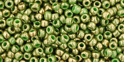 cc1702 - Toho beads 11/0 gilded marble green (10g)