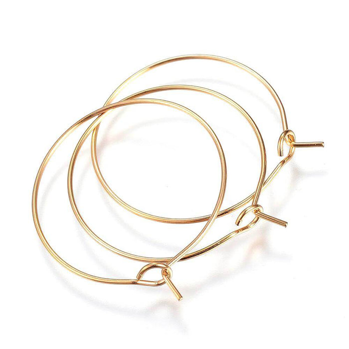 Stainless Steel Hoop Earring Findings-Golden-25mm -0.7mm (4)