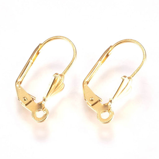 Buy Stainless Steel Leverback Earring Findings, Golden19x5.5x11mm-2 pairs (4)