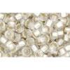 cc21f - Toho beads 8/0 silver lined frosted crystal (10g)