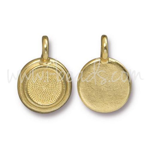 Buy Charm pendant frame for Swarovski 2088 SS34 gold (1)