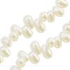 Freshwater pearls head drilled shape white 4x5mm (10)