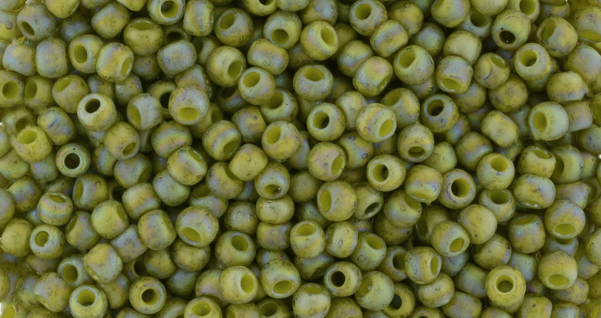 cc2631F - Toho beads 11/0 semi glazed rainbow Olive (10g)