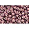 Buy ccPF2114 - Toho beads 8/0 silver lined milky nutmeg (10g)