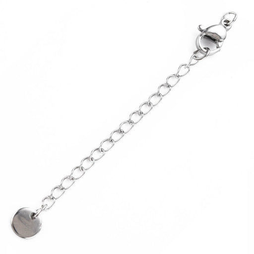 Lobster Clasp and extender chain 5cm with Medal stainless steel (1)