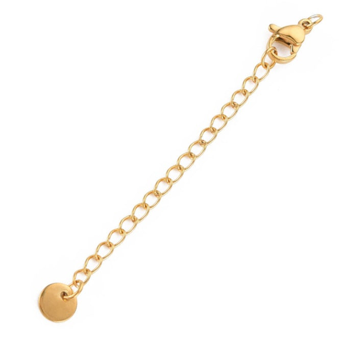 Lobster Clasp and extender chain 5cm with Medal - Stainless Steel Gold (1)