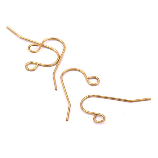 Hook earrings Golden stainless steel 24x11x1mm (4)