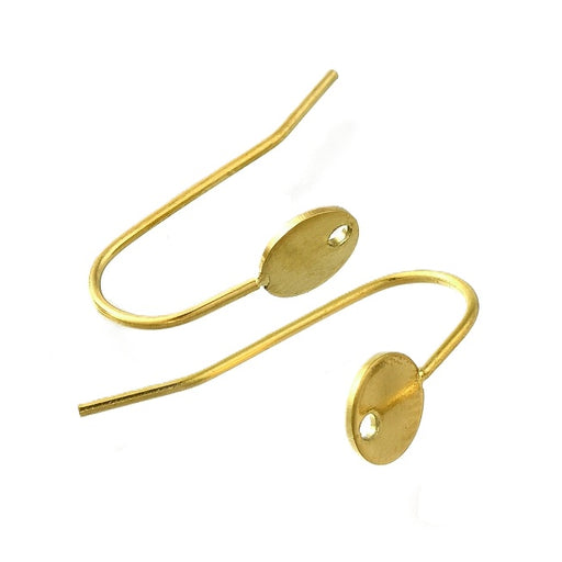 Earring hook and Tray 6mm Golden Stainless Steel - Hole: 1mm (2)