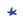Beads wholesaler  - Starfish pendant with blue enamel Golden steel - 10mm - Hole: 1mm (1)