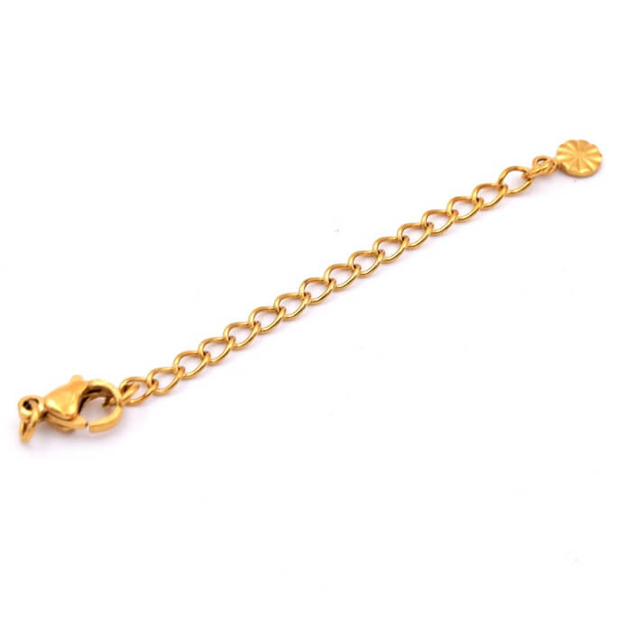 Lobster clasp with 5cm extension chain - Golden stainless steel (1)