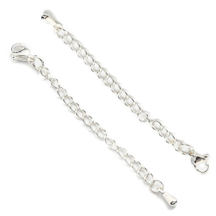 Lobster clasp and 5cm extender chain- silver color stainless steel (1)