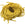 Beads wholesaler  - Hand-stitched natural silk cord - curry yellow 2mm (1m)