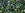 Beads Retail sales cc1829 - AIKO Toho Beads 11/0 tube Forest Green-Lined Jonquil Rainbow (2g)
