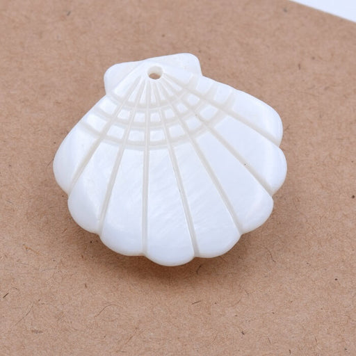 Pendant White shell scallop - 28.5x29.5mm (1)