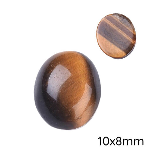 Oval Cabochon Tiger's Eye - 10x8mm (1)