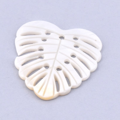 Buy Shell pendant white Monstera leaf 31x30mm (1)