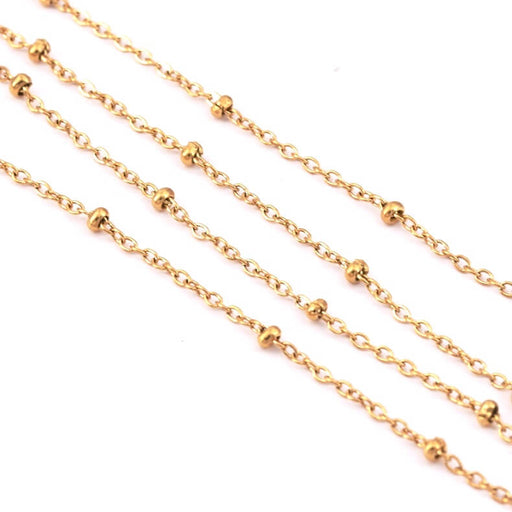 Buy Chain satellite Steel GOLD - 1.5mm beads 2mm (50cm)