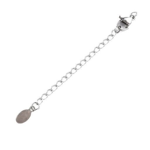 Extension Chain and Lobster Clasp - 5cm Stainless Steel (1)