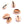Beads wholesaler  - Cowrie Shell Pendant Connectors open back 17-20mm (10)