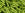 Beads Retail sales cc24 - Toho bugle beads 9mm silver lined lime green (10g)