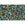 Beads wholesaler  - cc243 - Toho beads 11/0 inside colour rainbow topaz/opaque emerald lined (10g)