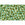 Beads wholesaler  - cc380 - Toho beads 11/0 topaz/mint julep lined (10g)