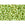 Beads wholesaler  - cc945 - Toho beads 11/0 jonquil/ mint julep (10g)