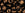 Beads wholesaler  - cc221 - Toho beads 3/0 bronze (10g)