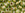 Beads wholesaler  - cc991 - Toho beads 3/0 gold lined peridot (10g)