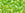 Beads Retail sales cc164 - toho beads 6/0 transparent rainbow lime green (10g)