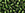 Beads Retail sales cc37 - Toho beads 6/0 silver-lined olivine (10g)