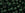 Beads wholesaler  - cc939 - Toho beads 6/0 transparent green emerald (10g)