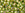 Beads wholesaler  - cc996 - Toho beads 6/0 gold lined rainbow peridot (10g)