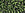 Beads wholesaler  - cc37 - Toho beads 8/0 silver-lined olivine (10g)