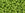 Beads Retail sales cc44 - Toho beads 8/0 opaque sour apple (10g)