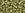 Beads wholesaler  - cc457 - Toho beads 8/0 gold lustered green tea (10g)