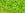 Beads wholesaler  - cc4 - Toho beads 8/0 transparent lime green (10g)
