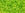 Beads Retail sales cc4 - Toho beads 8/0 transparent lime green (10g)