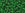 Beads wholesaler  - cc7b - Toho beads 8/0 transparent grass green (10g)