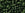 Beads wholesaler  - cc940f - Toho beads 8/0 transparent frosted olivine (10g)