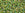 Beads wholesaler  - cc1829 - Toho beads 11/0 rainbow light jonquil/ green (10g)