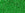 Beads wholesaler  - cc7 - Toho beads 15/0 transparent peridot (5g)