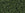 Beads wholesaler  - cc940f - Toho beads 15/0 transparent frosted olivine (5g)