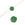 Beads wholesaler  - Bead flower dyied jade green carved 12x4mm (1)