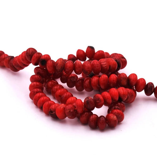 Rondelle Beads Donut Bamboo Coral 6x4mm - Hole: 0.8mm (1Strand-40cm)
