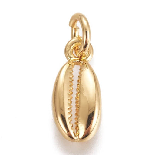 Cowrie Shell, Pendant, brass plated GOLD, 11mm with ring (1)